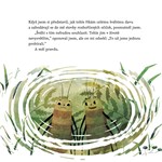 a101a0f0003780_cesta-do-svabiho-raje-lis