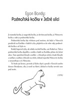 a101a0f0004579_o-kockach-a-kocourech-lis