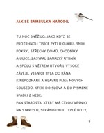 a101a0f0004850_snehulaci-z-mrkvonos-list