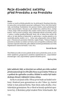 a101a0f0006712_bandita-pro-brnenskou-bal