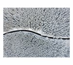 a101a0f0007569_jeseniky-nevidane-list7.j