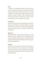 a101a0f0007720_noci-a-dny-na-karlstejne-