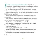 a101a0f0008287_florianek-z-kvetinove-lou