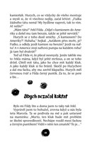 a101a0f0009548_puntikari-list2.jpg