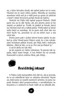 a101a0f0009548_puntikari-list3.jpg