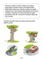 a101f0f0000789_doktor-junior_zdravoveda-