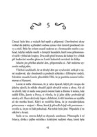 a101f0f0000868_princezna-celym-srdcem-li