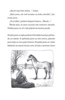 a101f0f0000975_pohlad-kone-po-dusi-list3