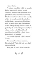 a101f0f0001935_npssk-11-vydeseny-kalous-