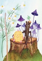 a101f0f0003219_putovani-bramburka-a-javu