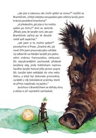 a101f0f0003219_putovani-bramburka-a-javu