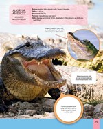 a101f0f0003220_moderni-encyklopedie-pro-