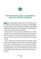 a101f0f0003686_marionka-z-kosi-ulice-lis