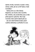 a101f0f0005906_julinka_2_nezbedny ponik-