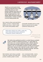 a101f0f0006328_hravy-pruvodce-prahou-kra