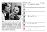 a101f0f0007120_cibulkuv-kalendar-pro-pam