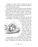 A101A0F0011878_medvidek-paddington-list3