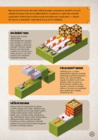 A101M0F0011762_minecraft-ruditova-priruc