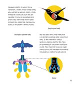 A101U0F0004473_obratni-obratlovci-list4.