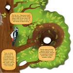 A101U0F0004753_co_se_deje_v_hnizdech_lis