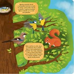 A101U0F0004753_co_se_deje_v_hnizdech_lis