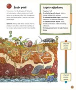 A101U0F0005867_tajemny_zivot_lesa_list2.