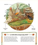 A101U0F0005867_tajemny_zivot_lesa_list4.