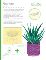 A101U0F0006034_taky-mam-svoji-pokojovku-