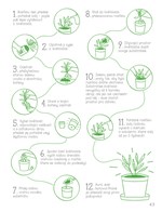 A101U0F0006034_taky-mam-svoji-pokojovku-