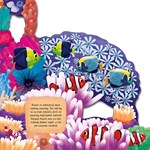 A101U0F24251_co-se-deje-na-koralovem-ute