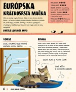 A102U1F0002117_atlas-maciek-pre-deti-lis