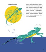 A102U1F0005139_vystavne-stavovce-list3.j