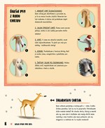 A102U1F23446_atlas-psov-pre-deti-list3.j