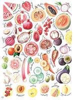 A102U1F24481_tvary-a-vzory-v-prirode-uka