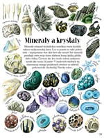 A102U1F24481_tvary-a-vzory-v-prirode-uka