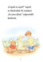 A101M0F0000783_Medvidek-Pu-Zaciname-cist