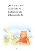 A101M0F0000783_Medvidek-Pu-Zaciname-cist