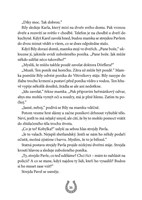 A101M0F0000904_ponik-vetrnik-4-potlesk-p