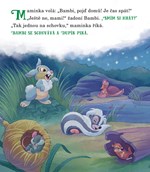 A101M0F0002763_disney-dobrou noc-s-disne