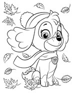 A101M0F0003506_tlapkova-patrola-hrava-st