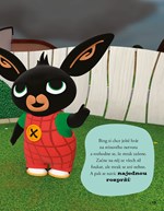 A101M0F0003584_bing-5minutove-pohadky-li