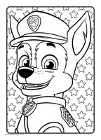 a101M0F0003587_tlapkova-patrola-darkovy-