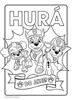 a101M0F0003695_tlapkova-patrola-supertla