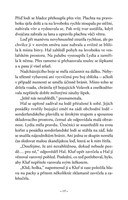 a101M0F0004876_bratrstvo-kniha-devata-pr