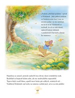 A101M0F0005307_medvidek-pu-ctyri-rocni-o