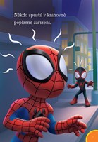 A101M0F0005445_Spidey-zaciname-cist-list
