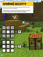 A101M0F0006235_minecraft-samolepkove-dob