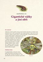 A101E0N0007502_Prvohorni_monstra_list4.j