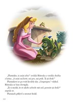 A101M0F0012152_Princezna-velka-kniha-poh