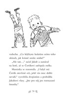 a101f0f0012154_pssk-naslo-se-kotatko-lis